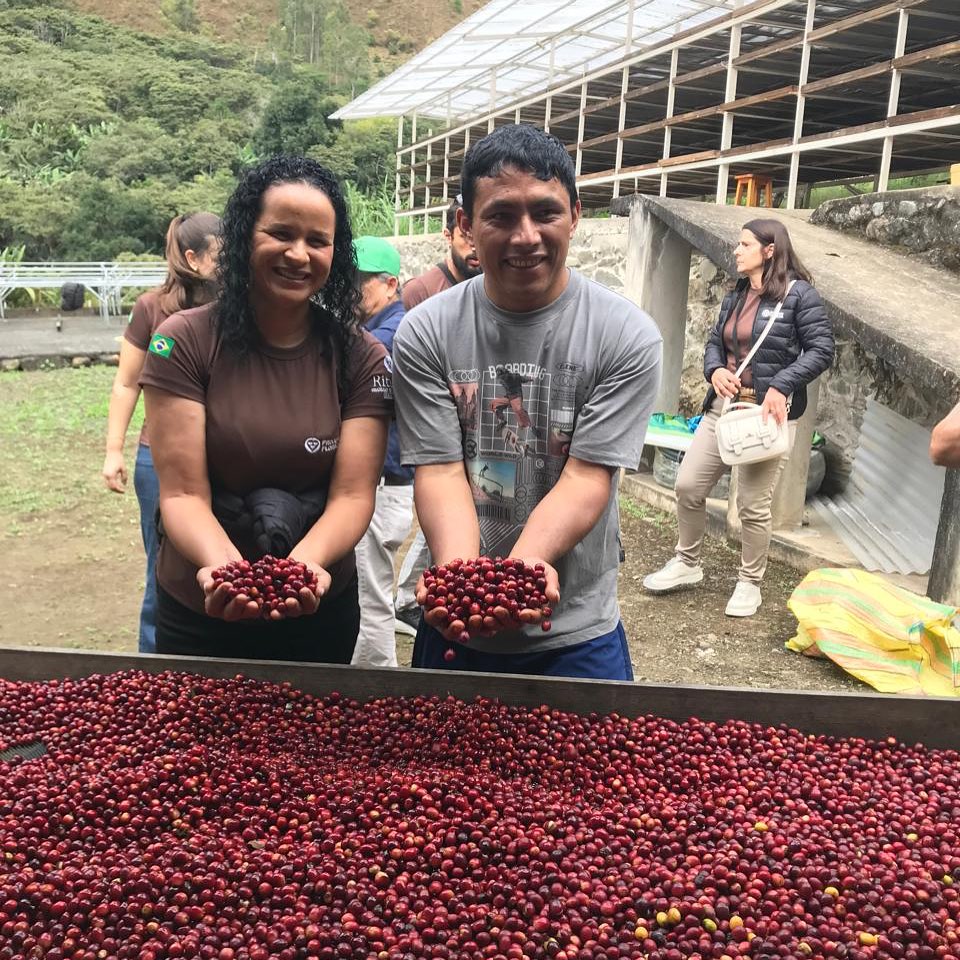 Uma mulher e um homem sorriem para a câmera enquanto seguram punhados de frutos de café maduros, de cor vermelha vibrante. Eles estão posicionados atrás de uma grande mesa de secagem ou esteira repleta de milhares de grãos de café recém-colhidos. A mulher, à esquerda, usa uma camiseta marrom com a bandeira do Brasil na manga; o homem, ao centro, veste uma camiseta cinza. Ao fundo, vê-se uma paisagem montanhosa e verde, além de uma estrutura de processamento agrícola com telhado translúcido. Outras pessoas circulam pela área externa da fazenda sob uma luz diurna suave.