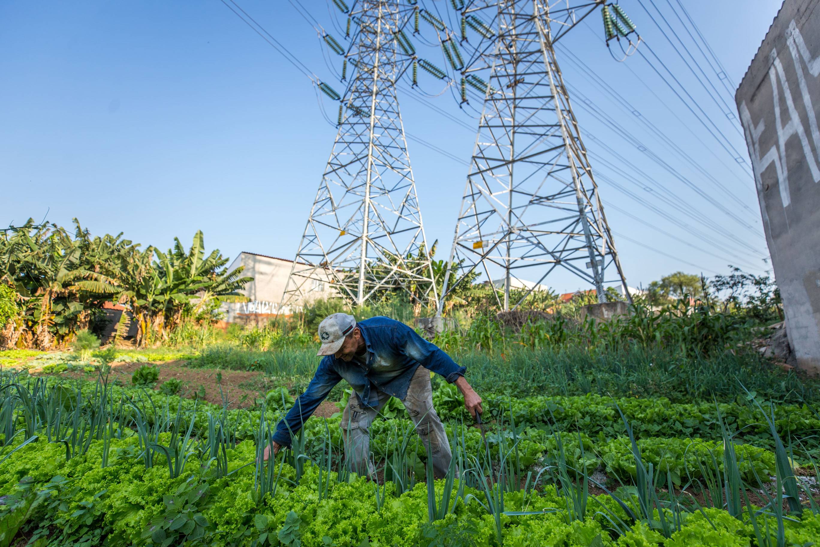 Consulta pública: participe da construção do Guia para Agendas Municipais de Agricultura Urbana e Periurbana