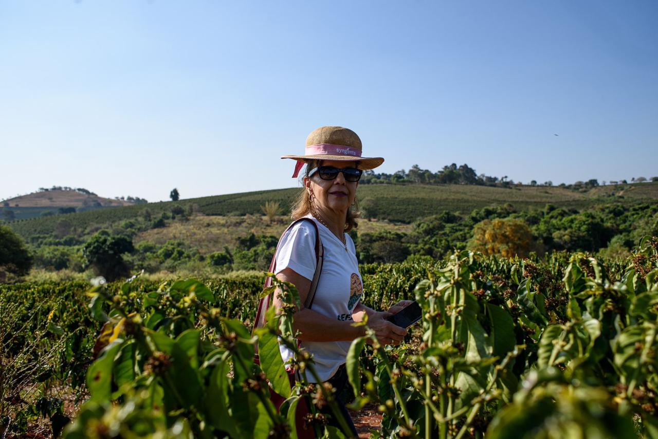 Uma mulher caminha por entre as fileiras de um cafezal sob a luz forte do sol. Ela está de frente para a câmera, usa óculos escuros, uma camiseta branca e um chapéu de palha com uma fita rosa. Ela segura um celular em uma das mãos. Ao fundo, a paisagem revela colinas onduladas cobertas por plantações e vegetação nativa sob um céu azul sem nuvens.