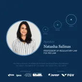 Natasha Salinas, PhD - FGV Direito Rio 