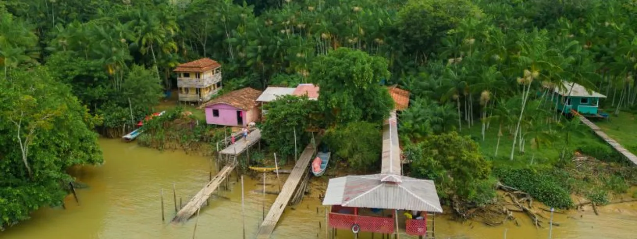 Investimentos públicos na Amazônia e fortalecimento da sociobiodiversidade