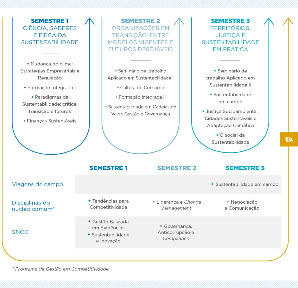 Percurso formativo
