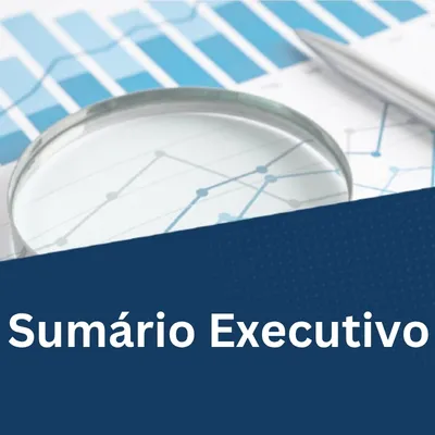Sumário Executivo