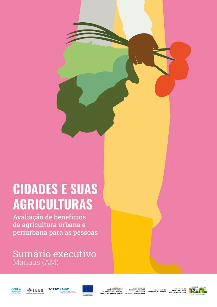 Sumário Executivo de Manaus (AM)