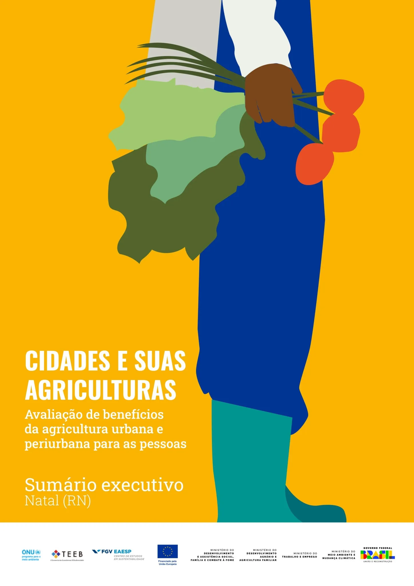 Sumário Executivo de Natal (RN)