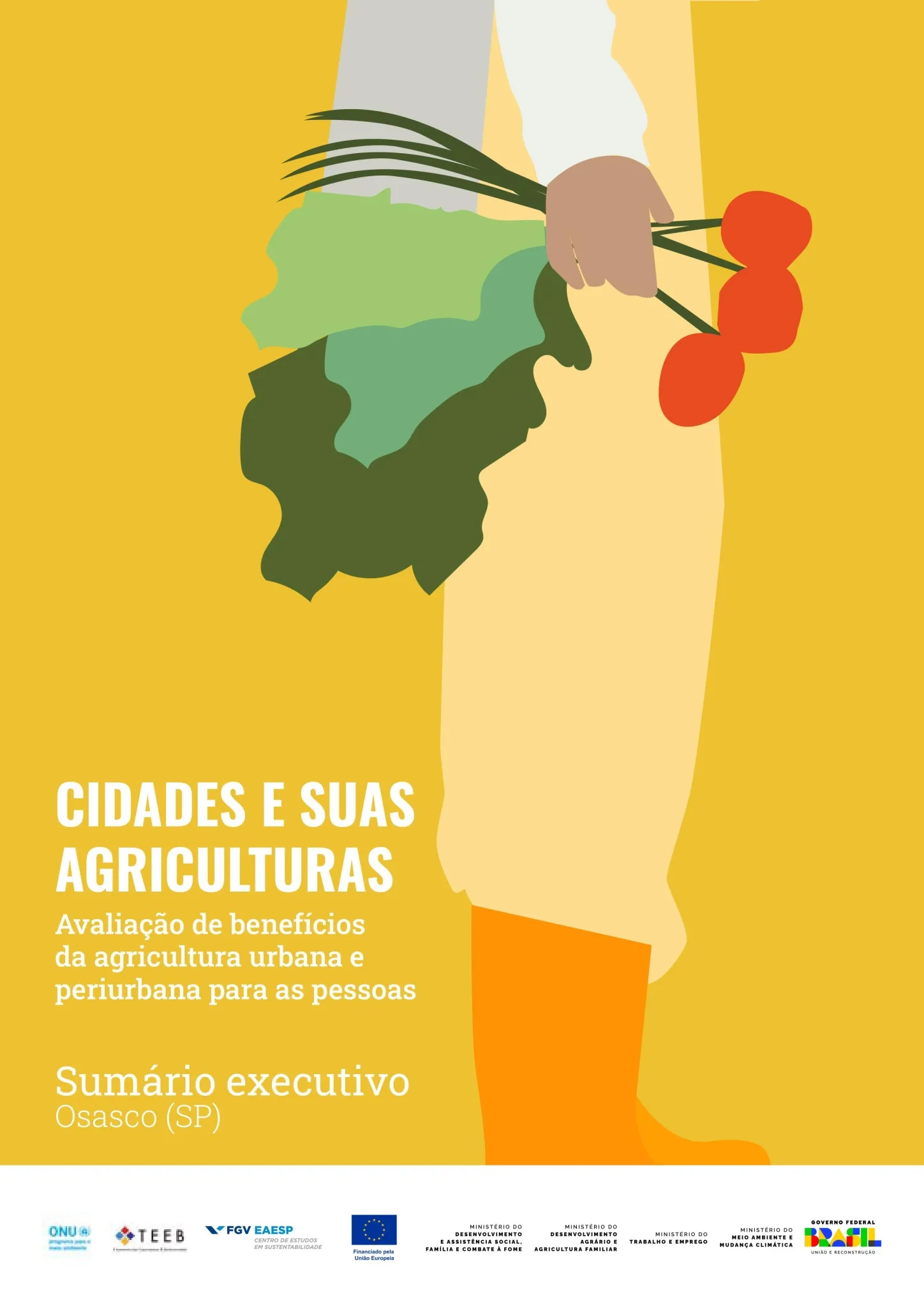 Sumário Executivo de Osasco (SP)