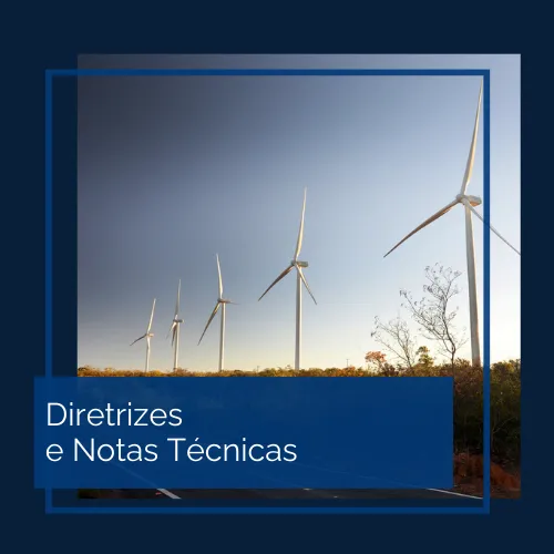 Diretrizes e Notas Técnicas