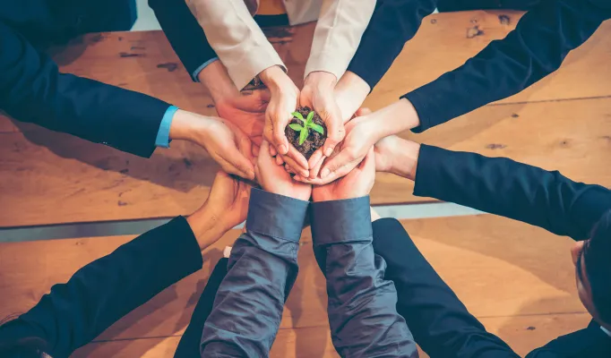 várias mãos segurando uma pequena planta