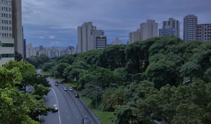imagem