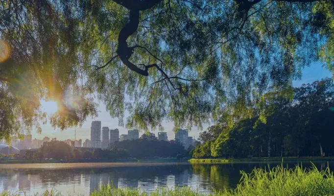 Programa Brasileiro de Relato Empresarial em Adaptação Climática
