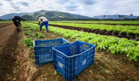 Consulta pública: participe da construção do guia 'Agendas Municipais de Agricultura Urbana e Periurbana'