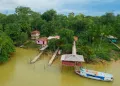 Investimentos públicos na Amazônia e fortalecimento da sociobiodiversidade
