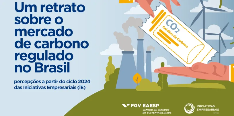 Um retrato sobre o mercado de carbono regulado no Brasil percepções a partir do ciclo 2024 das Iniciativas Empresariais (iE)
