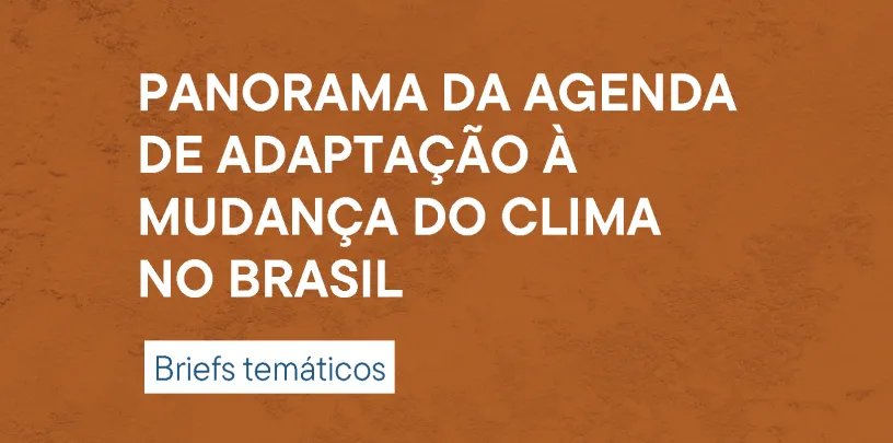 Panorama da Agenda de Adaptação à Mudança do Clima no Brasil | Briefs temáticos