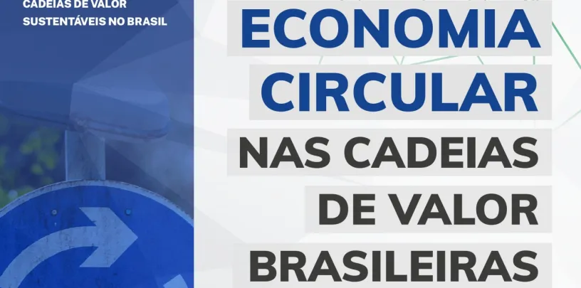 Economia circular nas cadeias de valor brasileiras: desafios e oportunidades para promover a economia circular nas cadeias de energia e de telecomunicações