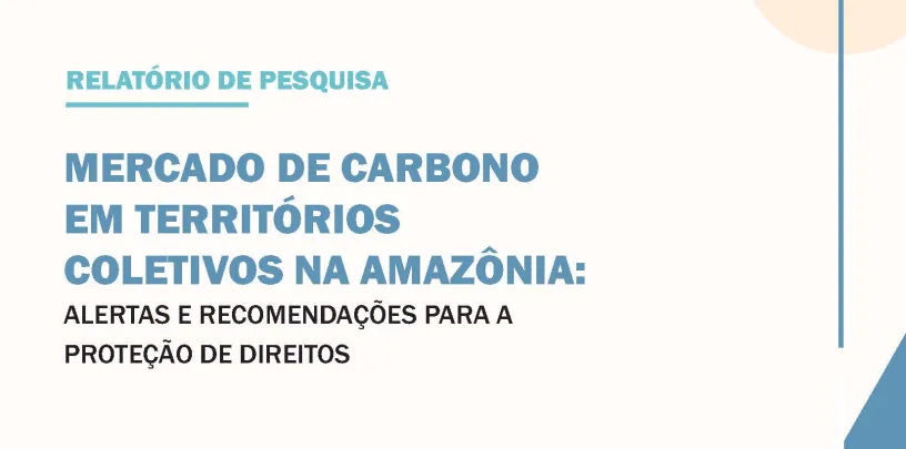 Mercado de carbono em territórios coletivos na Amazônia: alertas e recomendações para a proteção de direitos