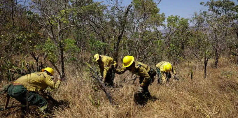 Des agents de l’Institut Chico Mendes pour la conservation de la biodiversité s’efforcent de contenir un incendie dans une zone du parc national de la Chapada dos Veadeiros, dans l’Etat de Goias (Brésil), le 20 septembre 2024. UESLEI MARCELINO/REUTERS
