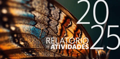 Relatório de atividades 2025