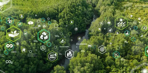 Vista aérea de uma floresta densa cortada por um rio, com ícones gráficos sobrepostos que representam sustentabilidade e gestão ambiental, como reciclagem, emissões de CO₂, energia renovável, hidrogênio e meta de carbono neutro. A composição sugere uso de tecnologia e dados na preservação ambiental e na economia verde.