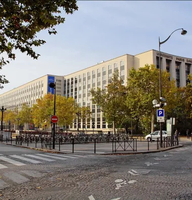 Dauphine