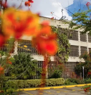 iesa