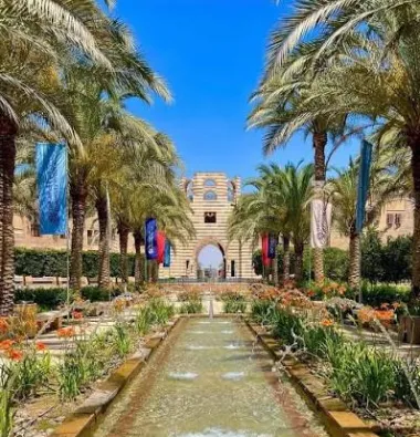 The American University in Cairo