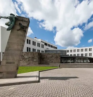Universidade do Minho