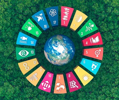sustentabilidade ambiental