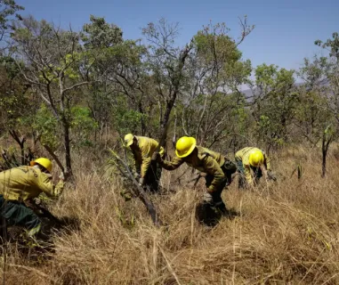 Des agents de l’Institut Chico Mendes pour la conservation de la biodiversité s’efforcent de contenir un incendie dans une zone du parc national de la Chapada dos Veadeiros, dans l’Etat de Goias (Brésil), le 20 septembre 2024. UESLEI MARCELINO/REUTERS